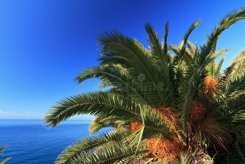 över gömma i handflatan havet arkivfoto över gömma i handflatan havet arkivfoto