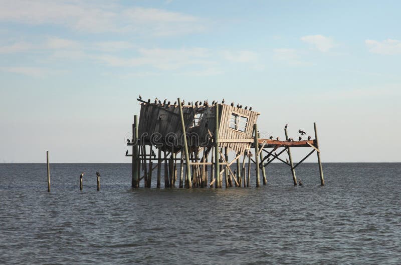 Old abandoned stilt house in Cedar Key, Florida, USA where the sea birds love to perch. Locals refer to the old landmark as the Honeymoon Hotel. Old abandoned stilt house in Cedar Key, Florida, USA where the sea birds love to perch. Locals refer to the old landmark as the Honeymoon Hotel.
