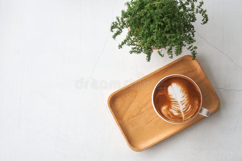 Överkänslig vy av varmt kaffekoppar med bladformat mjölkskum av latte på träbrickor och grönt smådratt på vitt krackat arkivfoto