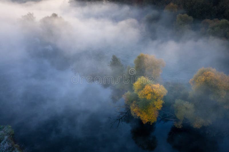 Översikt över hönskarantflyg Gula autumnträd från dimma Oktoberlandskap på mistmorgon