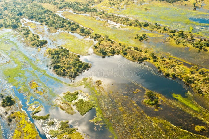 Översvämmad aerea av den Okavango deltan i Botswana arkivbild Översvämmad aerea av den Okavango deltan i Botswana arkivbild