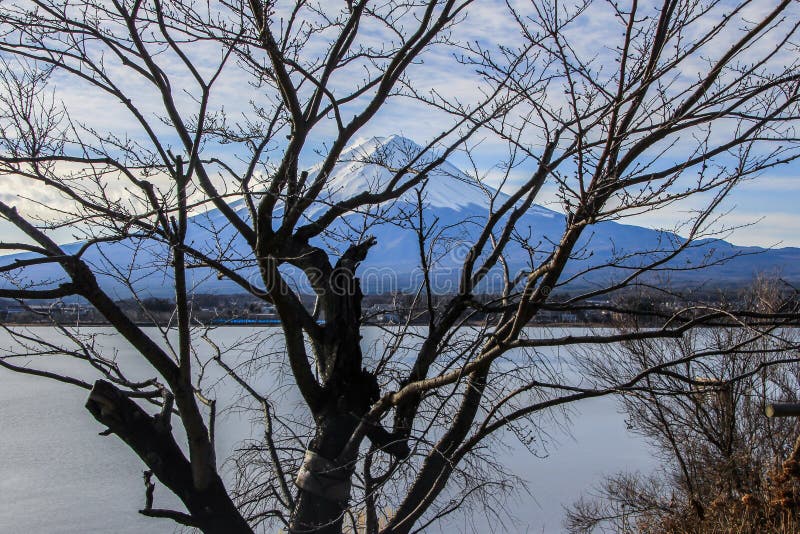 Övervintra landskapet med Mount Fuji, byn och sjön Natur av Japan arkivbild Övervintra landskapet med Mount Fuji, byn och sjön Natur av Japan arkivbild