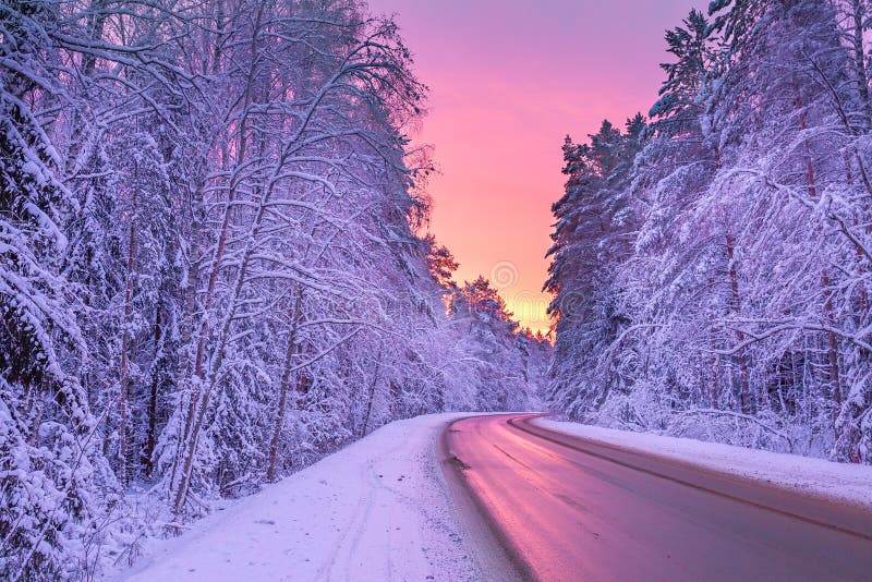 Övervintra landskapet med solnedgång, vägen och skogen arkivfoto