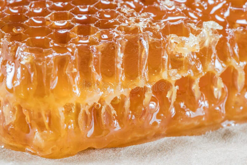 Övre kvarter för slut av Honey Comb royaltyfri bild Övre kvarter för slut av Honey Comb royaltyfri bild