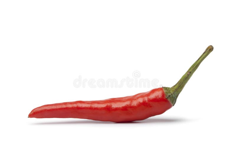 Única pimenta de tabasco fresca inteira foto de stock Única pimenta de tabasco fresca inteira foto de stock