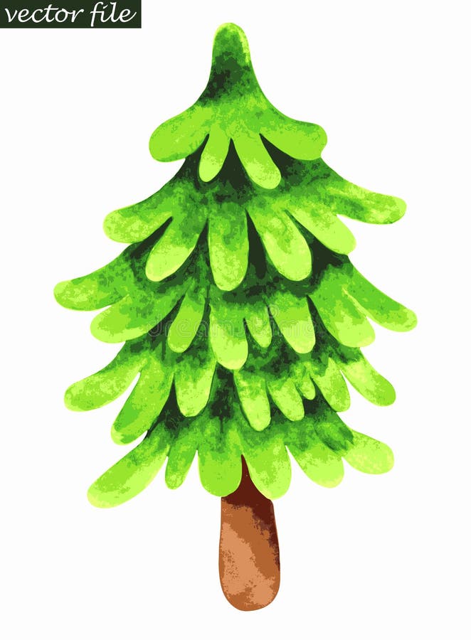 Single fir tree. Watercolor painting. Vector illustration. Single fir tree. Watercolor painting. Vector illustration