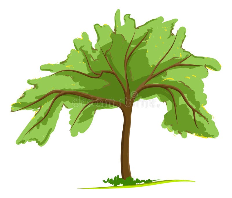 Single green tree. Vector illustration. Single green tree. Vector illustration.