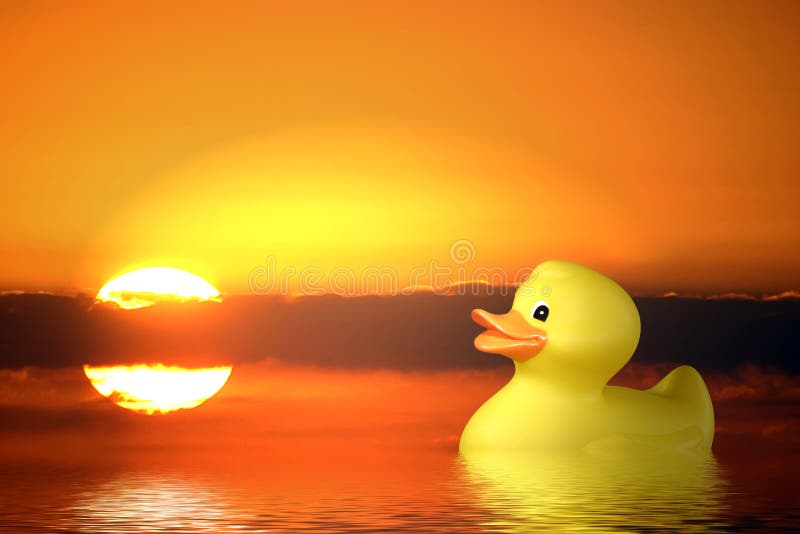 Single Rubber Duck at Sunrise Swimming in Pond. New Day full of Promise. Single Rubber Duck at Sunrise Swimming in Pond. New Day full of Promise.
