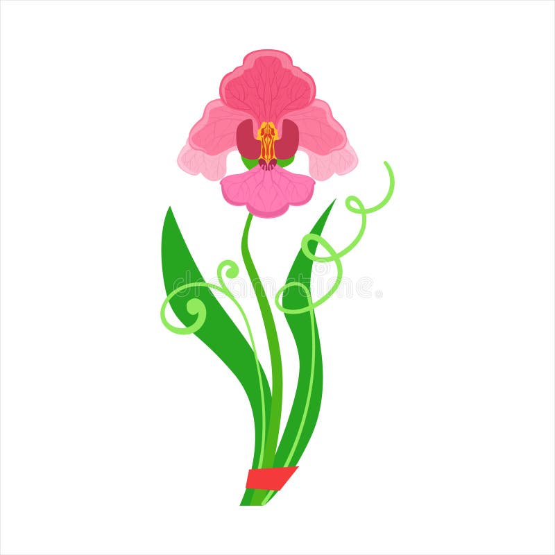 Único ramalhete da flor da orquídea amarrado com fita vermelha, vetor decorativo dos desenhos animados do artigo da variedade das ilustração royalty free Único ramalhete da flor da orquídea amarrado com fita vermelha, vetor decorativo dos desenhos animados do artigo da variedade das ilustração royalty free