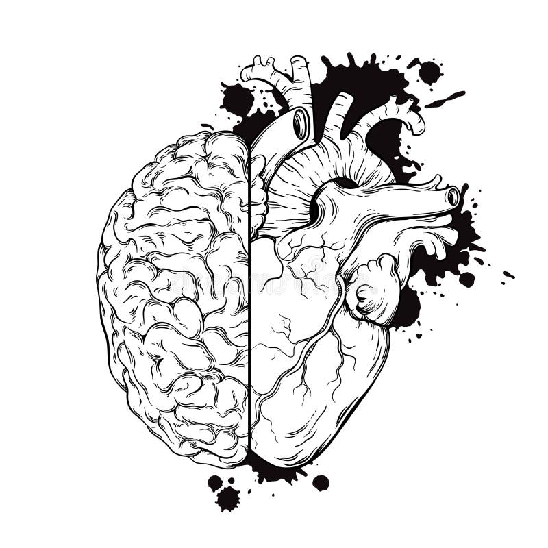 Übergeben Sie gezogener Linie Kunst menschliches Gehirn und Herz halfs Schmutzskizzentinten-Tätowierungsdesign auf weißer Hinterg