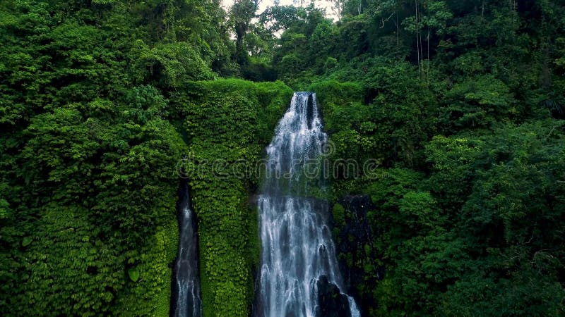Überraschender tropischer Wasserfall im grünen Regenwald