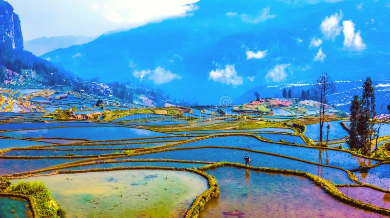 Überschwemmte Reisfelder in der Südchina stockfotografie Überschwemmte Reisfelder in der Südchina stockfotografie
