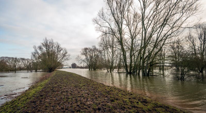 Überschwemmte Überschwemmungsgebiete nahe einem niederländischen Fluss stockbild Überschwemmte Überschwemmungsgebiete nahe einem niederländischen Fluss stockbild