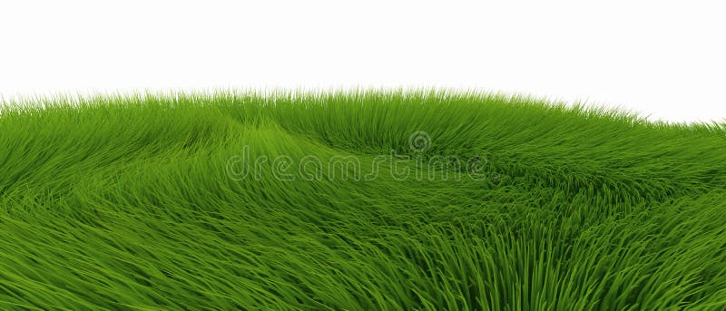 Üppiges grünes Gras stock abbildung