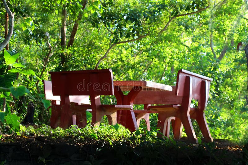 1 Concrete benches and a table in the jungle, resting place, Cambodia. 1 Concrete benches and a table in the jungle, resting place, Cambodia