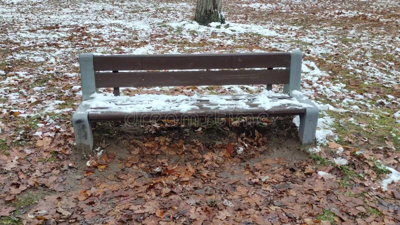 ławka jesiennego parku pokryta pierwszym śniegiem