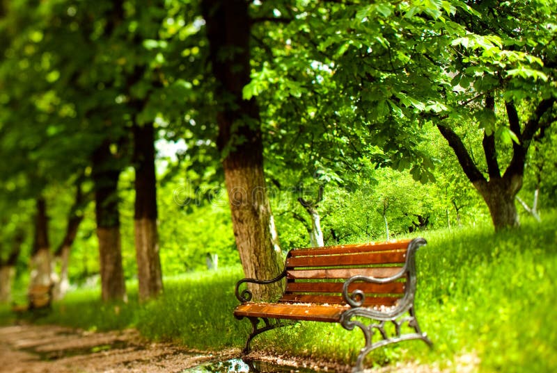 ławka park zdjęcia royalty free ławka park zdjęcia royalty free