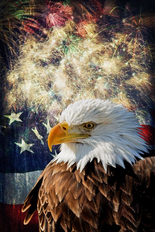 Composite photo of a Bald Eagle with a flag and fireworks in the background. Given a grunge overlay for a nice aged effect. Nice patriotic image for Independence Day, Memorial Day, Veterans Day and Presidents Day. Composite photo of a Bald Eagle with a flag and fireworks in the background. Given a grunge overlay for a nice aged effect. Nice patriotic image for Independence Day, Memorial Day, Veterans Day and Presidents Day.