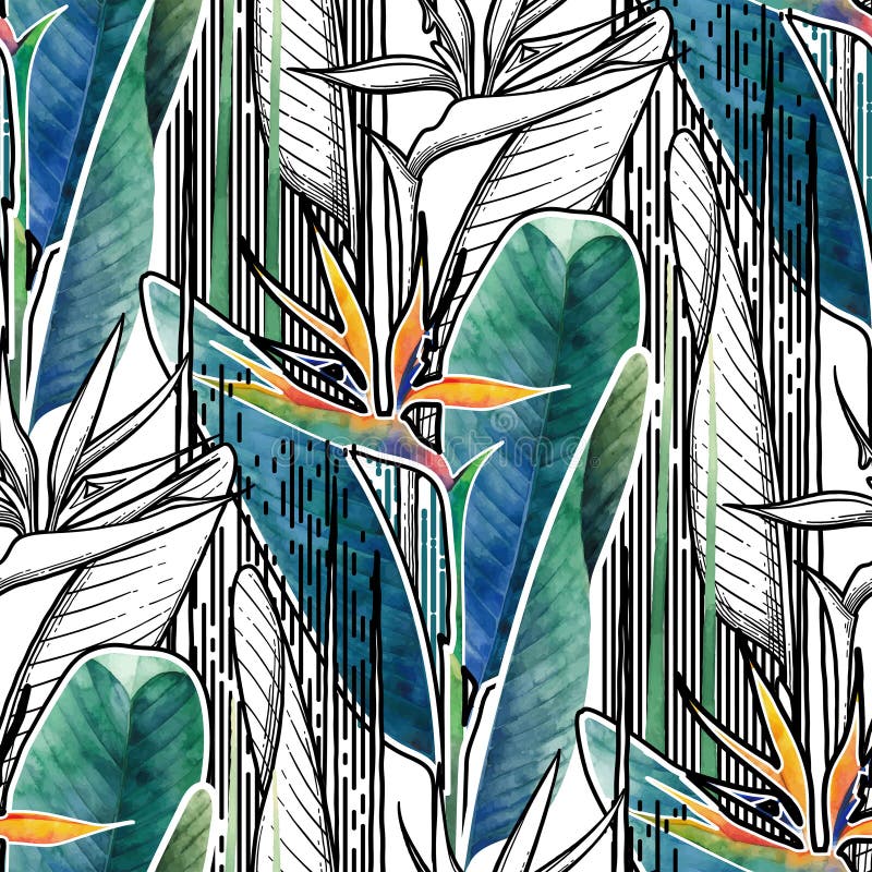 Łączący strelitzia wzór ilustracja wektor Łączący strelitzia wzór ilustracja wektor