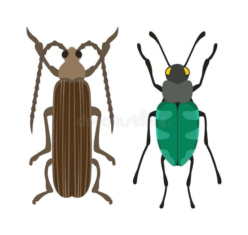 Ściga insekta płaska pluskwa w kreskówka stylu wektorze ilustracji Ściga insekta płaska pluskwa w kreskówka stylu wektorze ilustracji