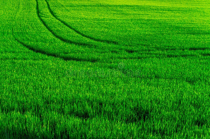 Ślada na Rolnym polu fotografia stock Ślada na Rolnym polu fotografia stock