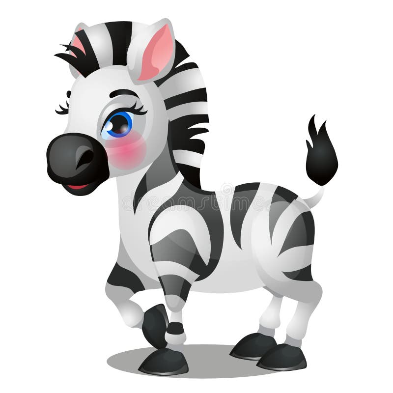 Śliczna dziecko zebra odizolowywająca na białym tle Wektorowa kreskówki zakończenia ilustracja ilustracja wektor