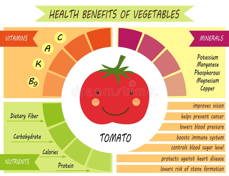 Śliczna infographic strona świadczenia zdrowotne warzywa ilustracji Śliczna infographic strona świadczenia zdrowotne warzywa ilustracji