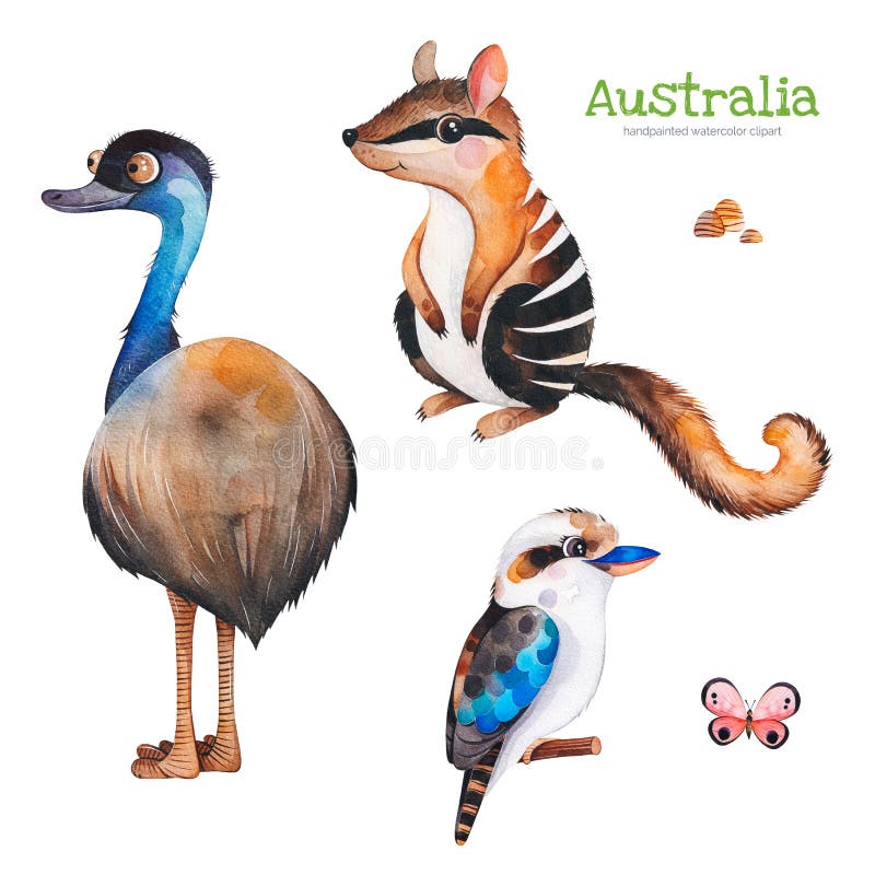 Śliczna kolekcja z emu, numbat, kookaburra i kamieniami