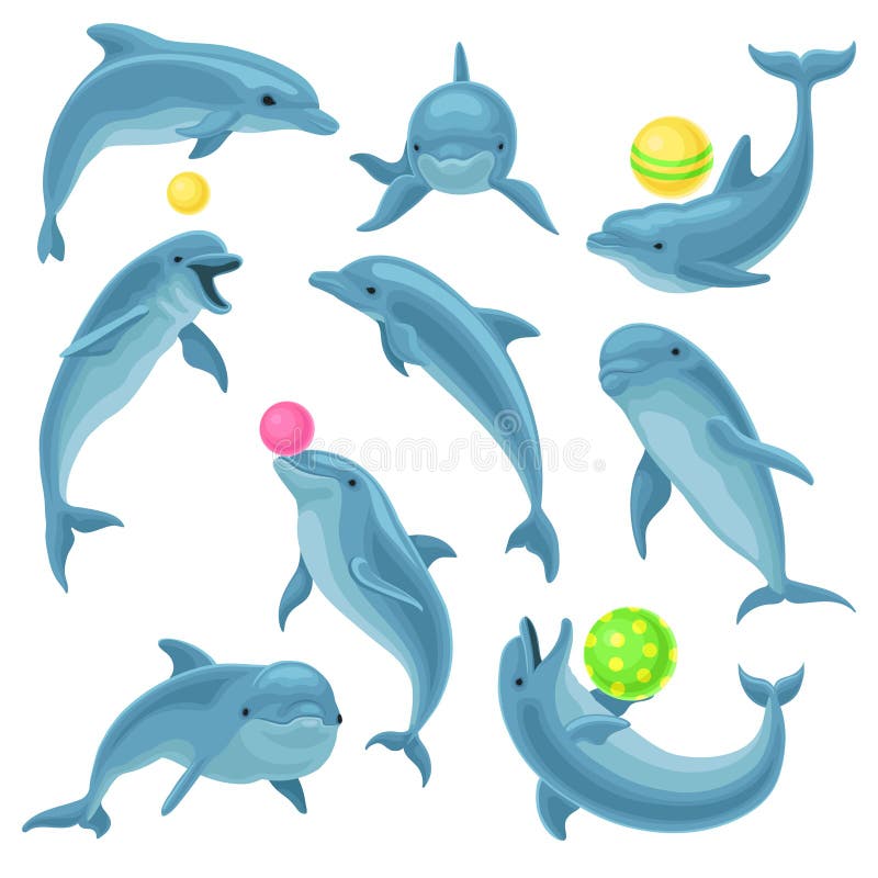 Śliczni błękitni delfiny ustawiają, delfinu doskakiwanie i spełnianie sztuczki z piłką dla rozrywki przedstawienia wektorowej ilu