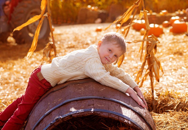 śliczny chłopak z blond włosami na farmie dyń jesienią wśród małych pomarańczowych dyń. halloween fotografia stock