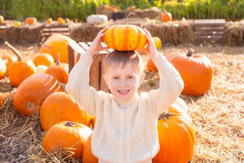 śliczny chłopiec z blond włosami w białym przytulnym dzianym swetrze na farmie dyń jesienią wśród pomarańczowych dyń. halloween obrazy royalty free