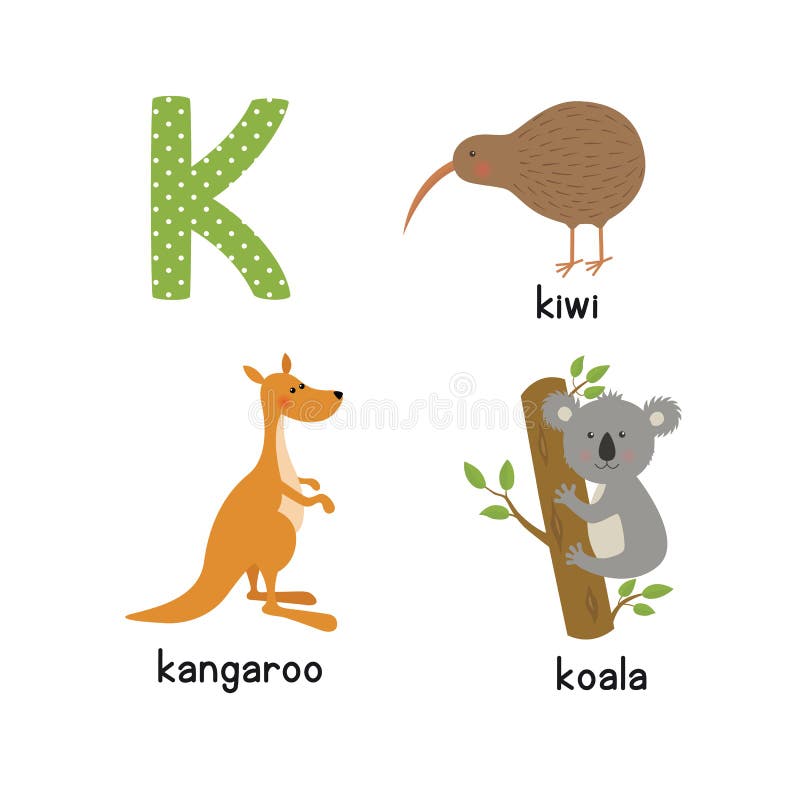 Śliczny zoo abecadło w wektorze K list Śmieszni kreskówek zwierzęta: kangur, koala, kiwi ptak royalty ilustracja Śliczny zoo abecadło w wektorze K list Śmieszni kreskówek zwierzęta: kangur, koala, kiwi ptak royalty ilustracja