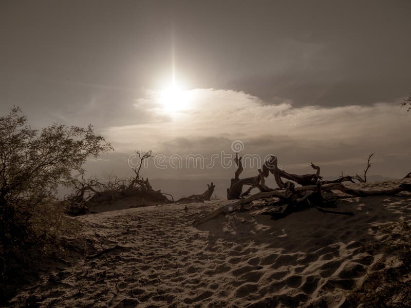 Śmiertelny Dolinny park narodowy, Mojave pustyni drogowy westchnienie, Kalifornia, usa: Gorący miejsce na planety ziemi fotografia stock Śmiertelny Dolinny park narodowy, Mojave pustyni drogowy westchnienie, Kalifornia, usa: Gorący miejsce na planety ziemi fotografia stock
