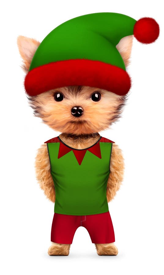 Śmieszny Psi Santa ` s elf z kapeluszem Bożenarodzeniowy pojęcie royalty ilustracja Śmieszny Psi Santa ` s elf z kapeluszem Bożenarodzeniowy pojęcie royalty ilustracja