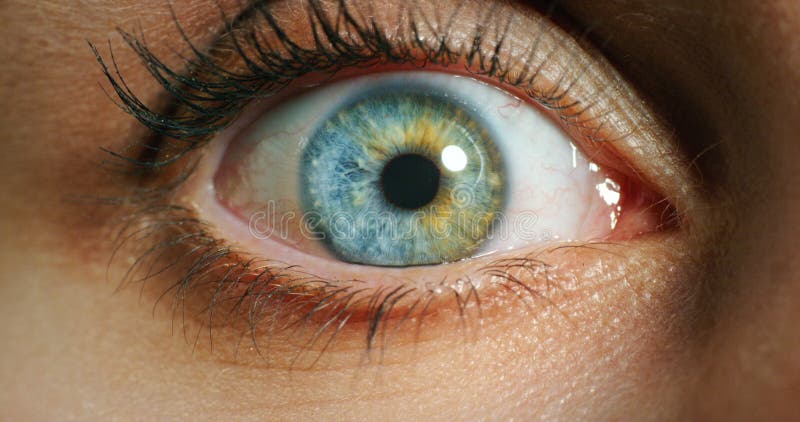 świadomość wzroku i niebieskie oko do optometrii lub wzroku. badanie makromedyczne soczewki kontaktowej lub zbiory