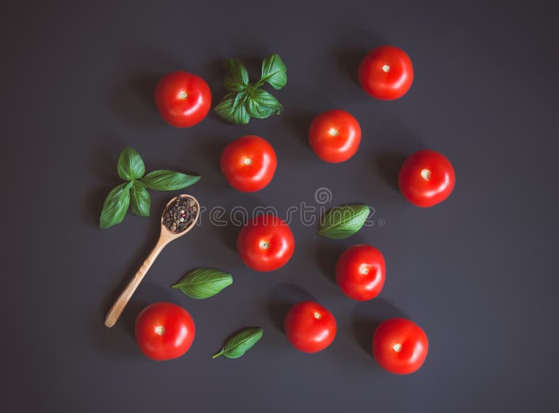 Świezi dojrzali pomidorów, pieprzu i zieleń basila liście na ciemnym tle, zdjęcia stock Świezi dojrzali pomidorów, pieprzu i zieleń basila liście na ciemnym tle, zdjęcia stock