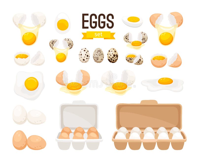 Fresh and boiled eggs. Cartoon broken eggs with cracked eggshell, in cardboard box and egg half with yolk vector illustration. Fresh and boiled eggs. Cartoon broken eggs with cracked eggshell, in cardboard box and egg half with yolk vector illustration