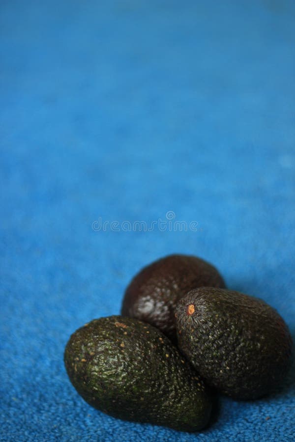 Świezi Organicznie avocados na błękitnym tle obraz stock Świezi Organicznie avocados na błękitnym tle obraz stock