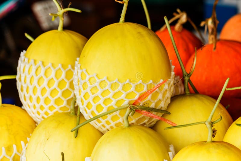 Świezi organicznie kantalupów melony brogujący na stole dla sprzedaży przy loc zdjęcie stock Świezi organicznie kantalupów melony brogujący na stole dla sprzedaży przy loc zdjęcie stock