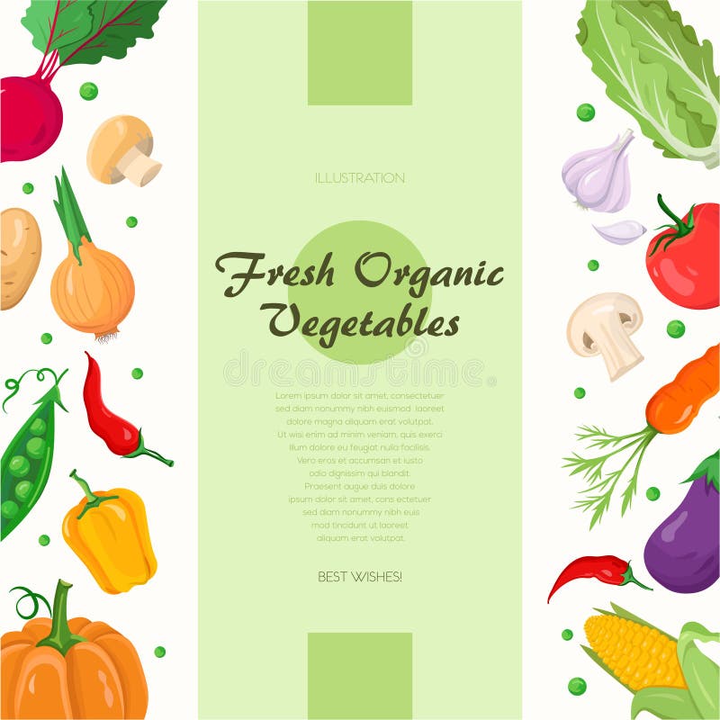 Świezi organicznie warzywa - nowożytna kolorowa wektorowa ilustracja ilustracja wektor Świezi organicznie warzywa - nowożytna kolorowa wektorowa ilustracja ilustracja wektor