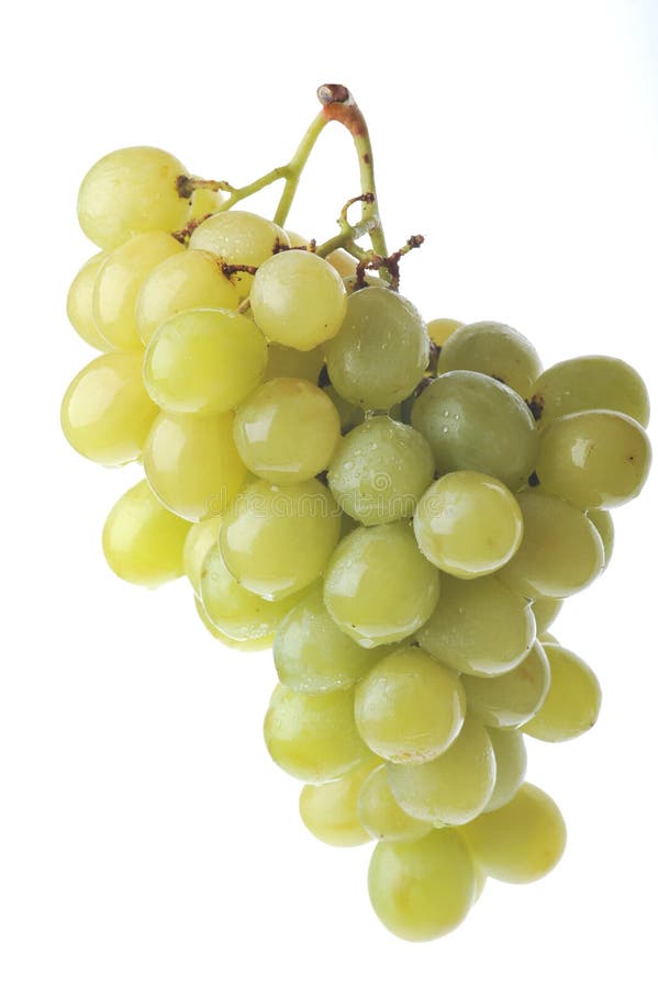 świezi winogrona