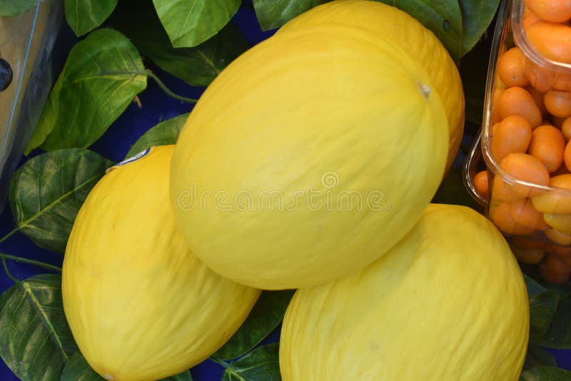Świezi żółci melony wystawiający w zieleniaku fotografia stock Świezi żółci melony wystawiający w zieleniaku fotografia stock
