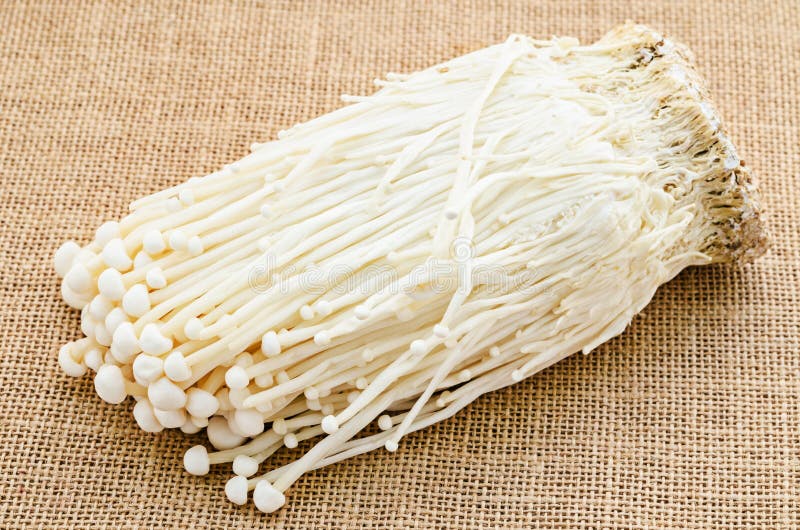 Świeża enoki pieczarka zdjęcia royalty free Świeża enoki pieczarka zdjęcia royalty free