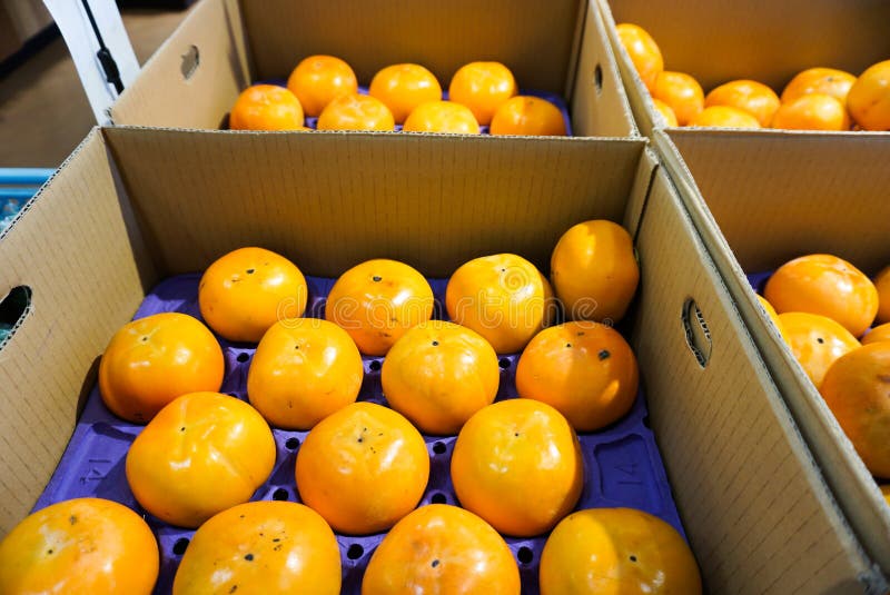 Świeża owoc w pudełku podczas żniwo pomarańcz przyprawia zdjęcie stock Świeża owoc w pudełku podczas żniwo pomarańcz przyprawia zdjęcie stock