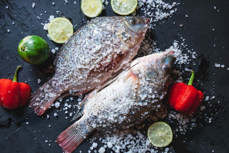 Świeża ryba tilapia z solą i podprawa dla gotować zdjęcia stock Świeża ryba tilapia z solą i podprawa dla gotować zdjęcia stock