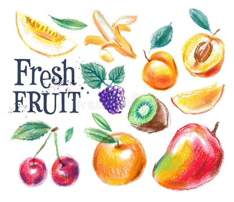 Fresh fruit on a white background. vector illustration. Fresh fruit on a white background. vector illustration