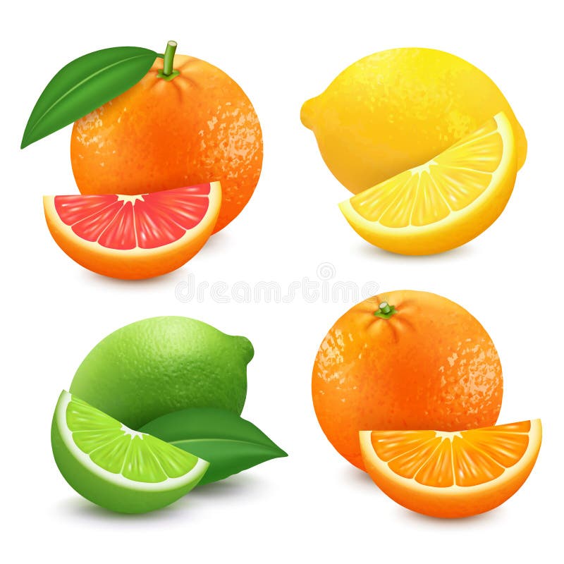 Świeże cytrus owoc ustawiać Pomarańczowego grapefruitowego cytryny wapna odosobniona wektorowa ilustracja 3D Realistyczny wektor