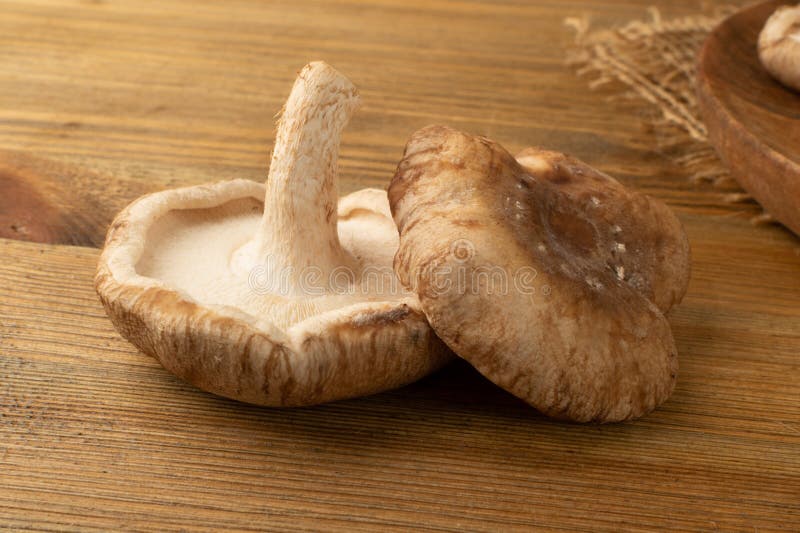 świeże grzyby shitake surowe shitake zdrowe grzyby organiczne azji obrazy stock