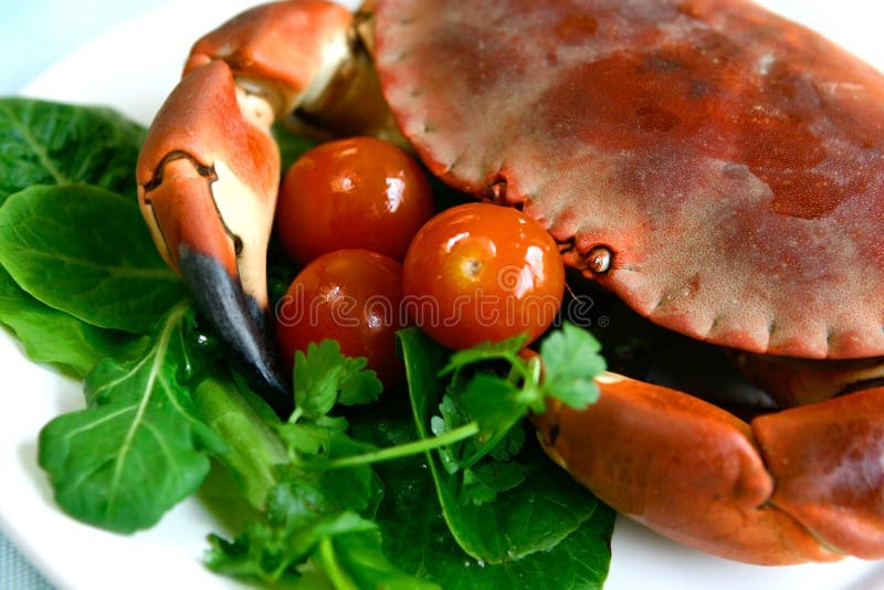 Fresh steamed crab served with fresh green salad and cherry tomatoes. Fresh steamed crab served with fresh green salad and cherry tomatoes.