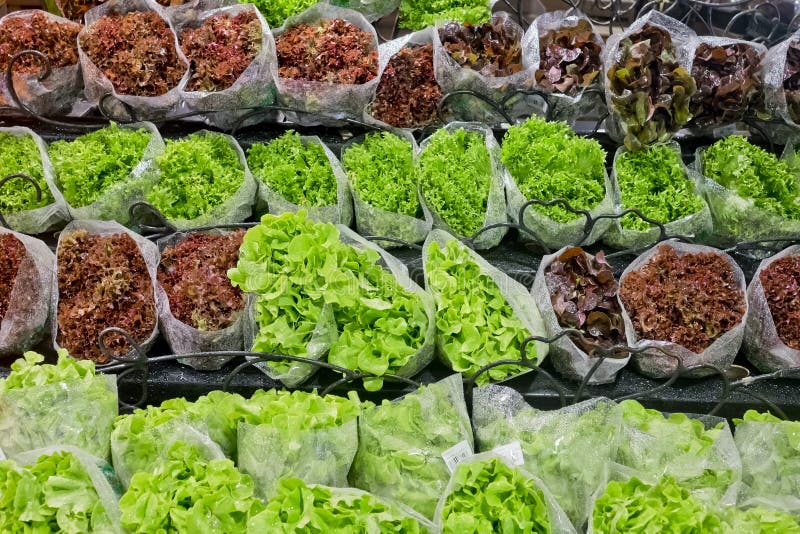 Świeże sałaty w supermarkecie obraz stock Świeże sałaty w supermarkecie obraz stock